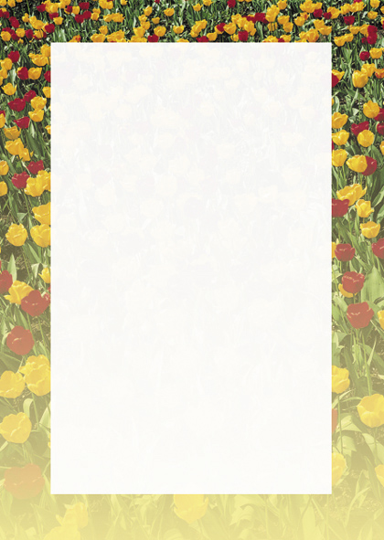 PolGer_Arkusz_ozdobne_barwne_poligrafia_dyplomy_certyfikaty_Tulipany_80g